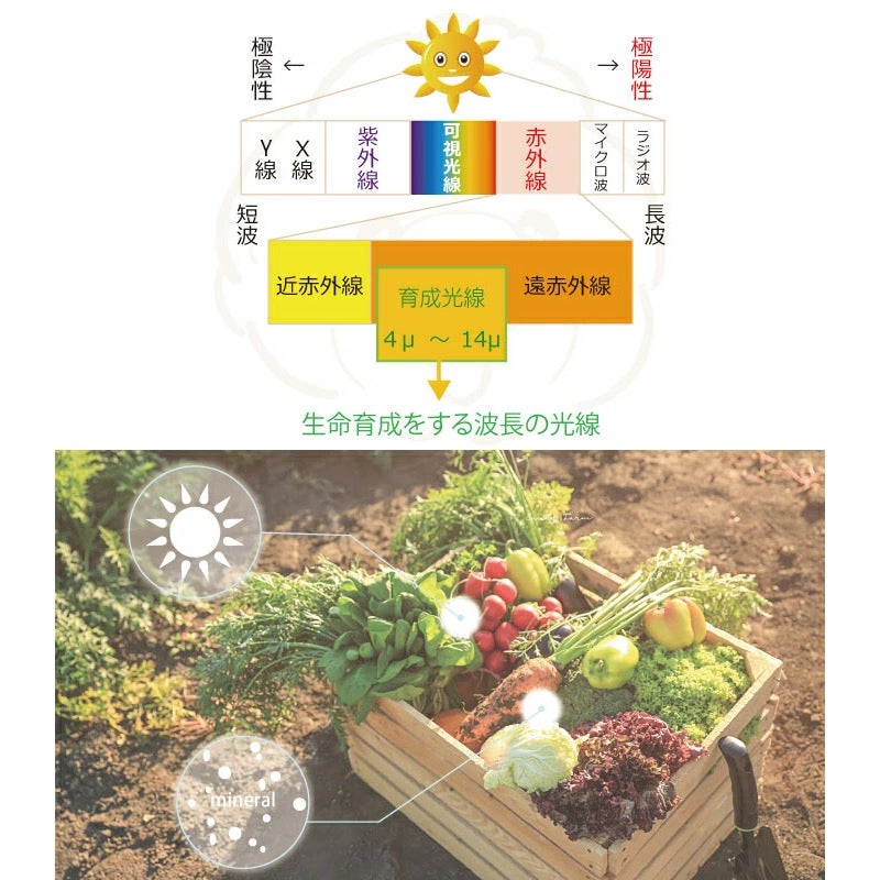 天照石 | CandyFarm